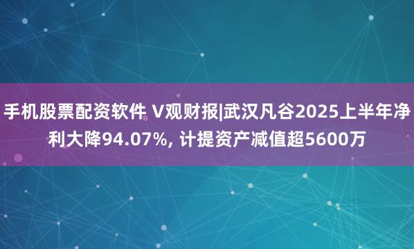 手机股票配资软件 V观财报|武汉凡谷2025上半年净利大降94.07%, 计提资产减值超5600万