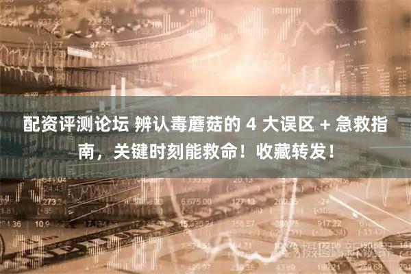 配资评测论坛 辨认毒蘑菇的 4 大误区 + 急救指南，关键时刻能救命！收藏转发！