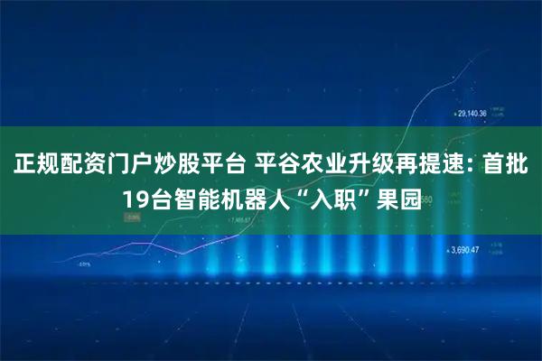 正规配资门户炒股平台 平谷农业升级再提速: 首批19台智能机器人“入职”果园