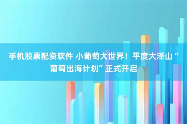 手机股票配资软件 小葡萄大世界！平度大泽山“葡萄出海计划”正式开启